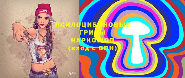 прущая мука Верея