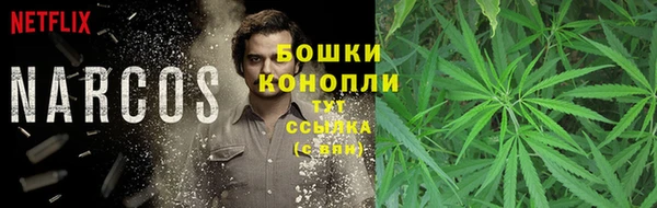 прущая мука Верея